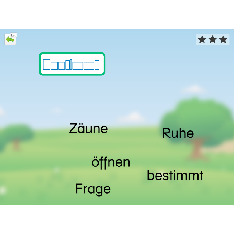 Erfolgreich Lesen / Einzelplatzlizenz