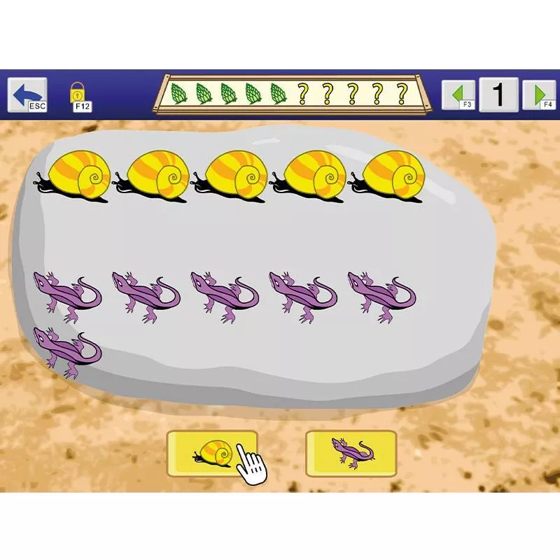 AboutNumbers AAC/ Mehrplatzlizenz - Zusatzlizenz