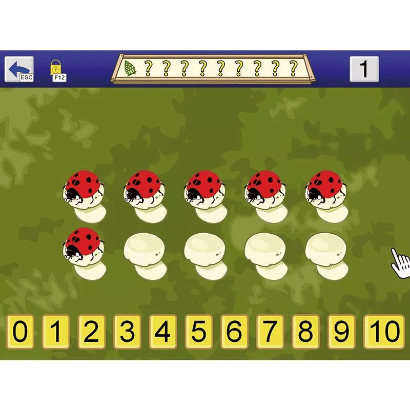 AboutNumbers AAC/ Mehrplatzlizenz - Zusatzlizenz