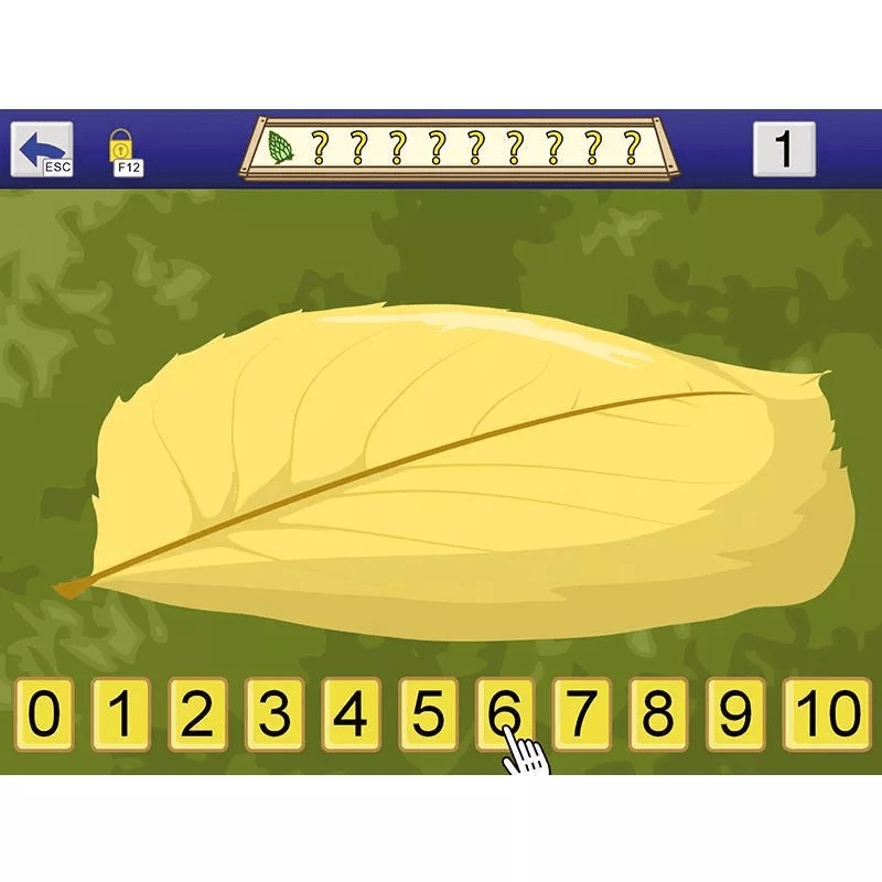 AboutNumbers AAC/ Mehrplatzlizenz - Zusatzlizenz