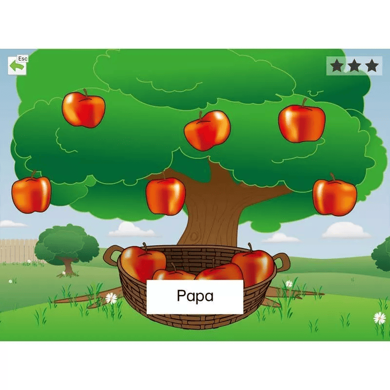 FlashWords AAC / Mehrplatzlizenz