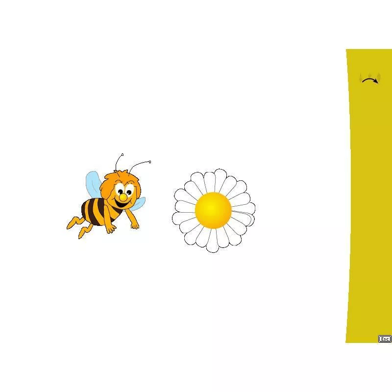 CatchMe 2.0 / Mehrplatzlizenz