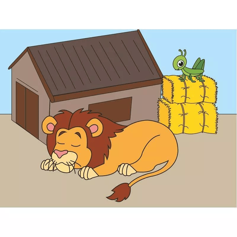 HokusPokus / Mehrplatzlizenz