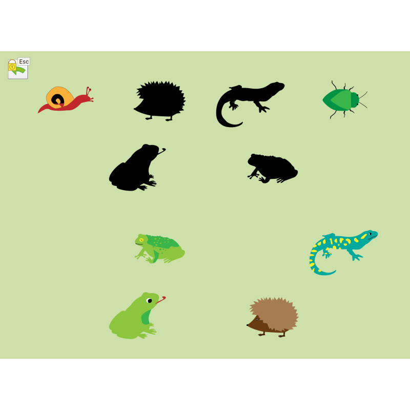 PreNumbers / Mehrplatzlizenz